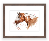 Appaloosa - Watercolour Mini Print